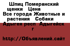 Шпиц Померанский щенки › Цена ­ 25 000 - Все города Животные и растения » Собаки   . Адыгея респ.,Адыгейск г.